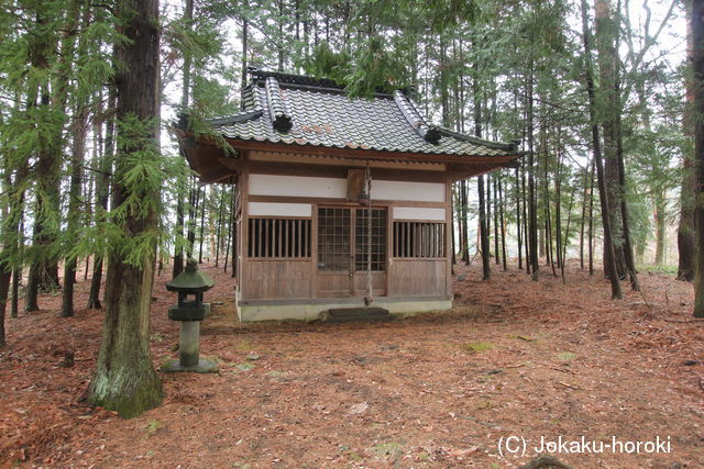 信濃 天神山城(伊那市)の写真