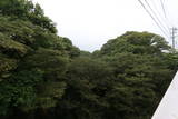 信濃 長倉城の写真