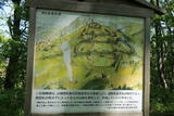 信濃 望月城の写真