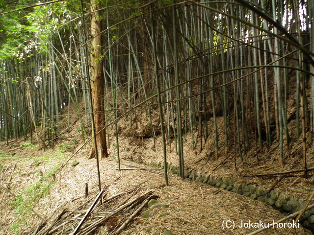 信濃 村岡城の写真