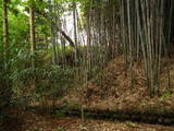 信濃 村岡城の写真