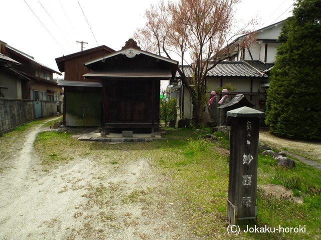 信濃 妙喜庵館の写真