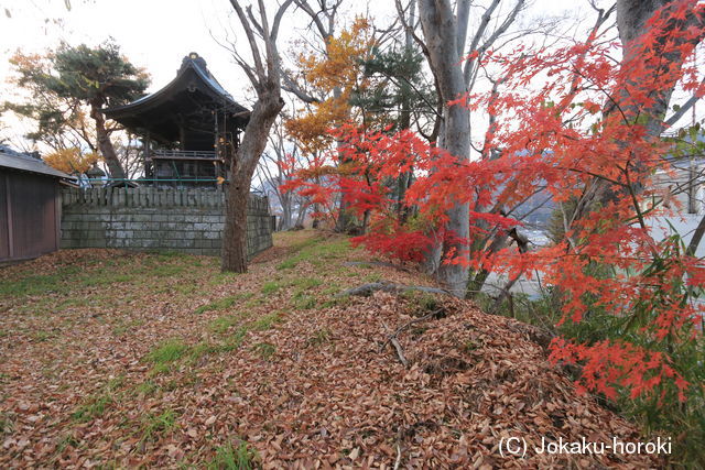 信濃 横山城(長野市)の写真