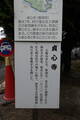 信濃 長沼城の写真