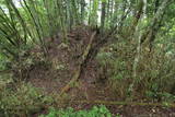 信濃 長山城の写真