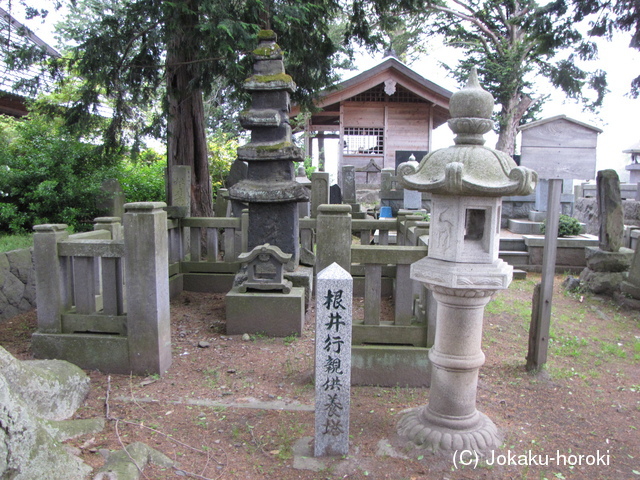 信濃 根々井館の写真