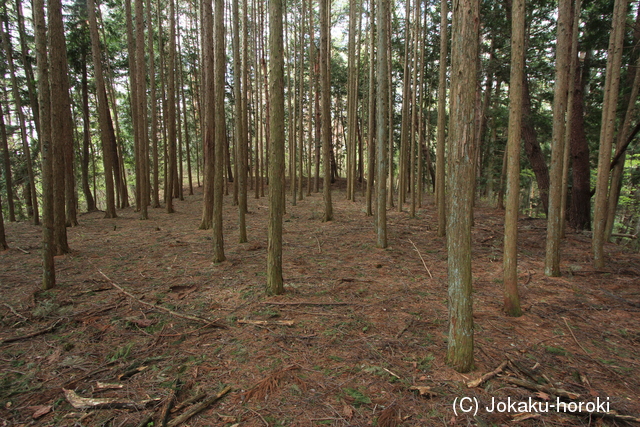 信濃 亀山城の写真