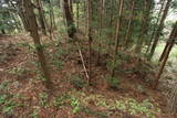 信濃 亀山城の写真