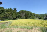 信濃 野口城の写真