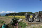 信濃 野口館城の写真