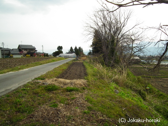 信濃 小田切城の写真