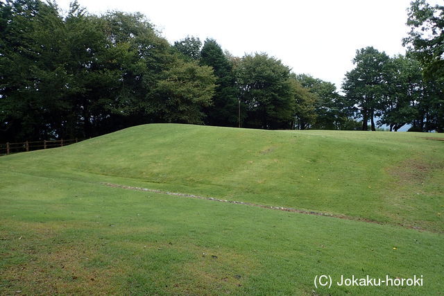 信濃 大丸山砦の写真