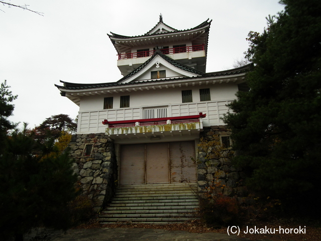 信濃 大峰城の写真