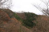 信濃 大野田城の写真