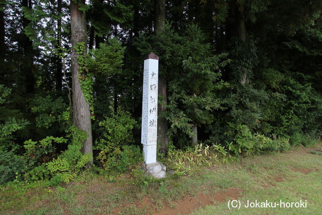 信濃 大田切城の写真