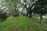信濃 岡城の写真