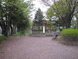 信濃 大井城の写真