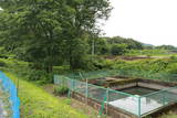 信濃 小田井城の写真