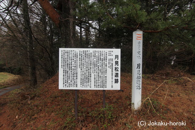 信濃 小沢の古城の写真