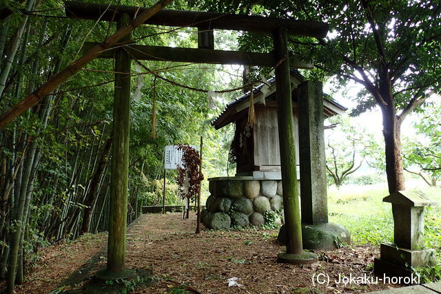 信濃 坂牧城の写真