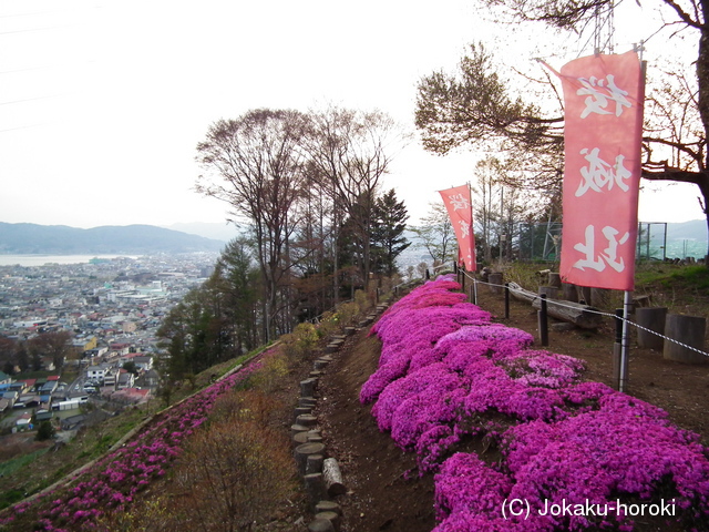 信濃 桜城の写真