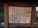 信濃 桜城の写真