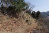 信濃 笹洞城の写真