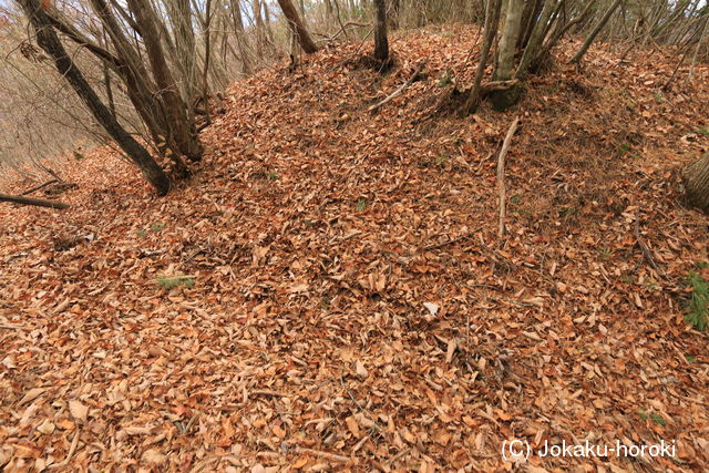 信濃 さすなみ峰狼煙台の写真