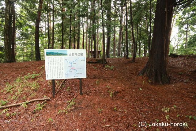 信濃 妙義山城の写真