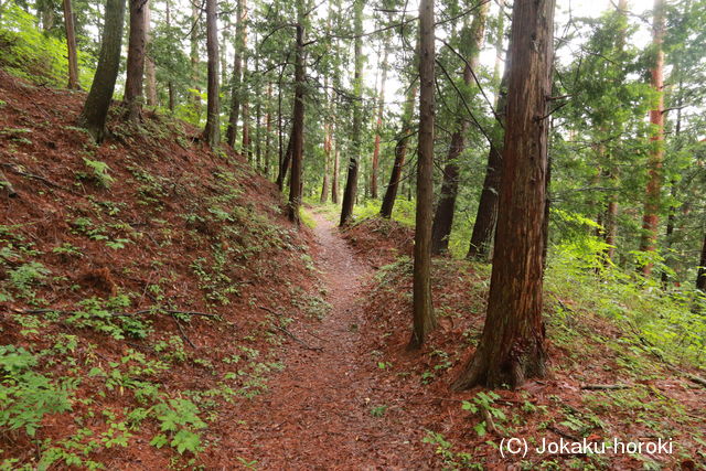 信濃 武居城(朝日村)の写真