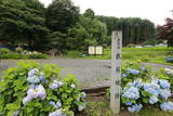 信濃 武居城(朝日村)の写真