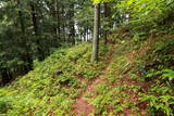 信濃 武居城(朝日村)の写真