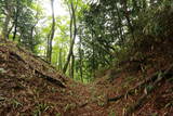 信濃 武居城(朝日村)の写真