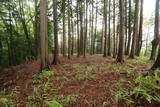 信濃 武居城(朝日村)の写真