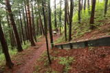 信濃 武居城(朝日村)の写真