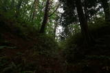 信濃 武居城(朝日村)の写真