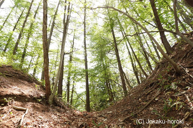 信濃 城山城(須坂市)の写真