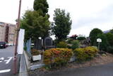信濃 荒井城の写真
