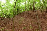 信濃 和田城(信更町)の写真