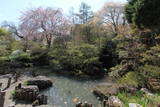 信濃 塩田城の写真