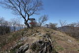 信濃 虚空蔵山城の写真