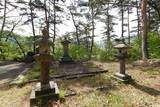 信濃 須田城の写真