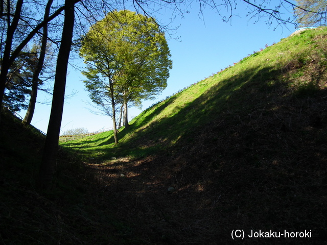信濃 鈴岡城の写真