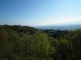 信濃 鈴岡城の写真