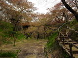 信濃 高遠城の写真