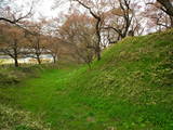 信濃 高遠城の写真