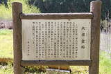 信濃 竹の城の写真