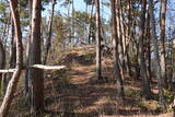 信濃 小山城の写真