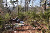 信濃 小山城の写真
