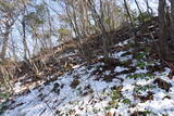 信濃 小山城の写真